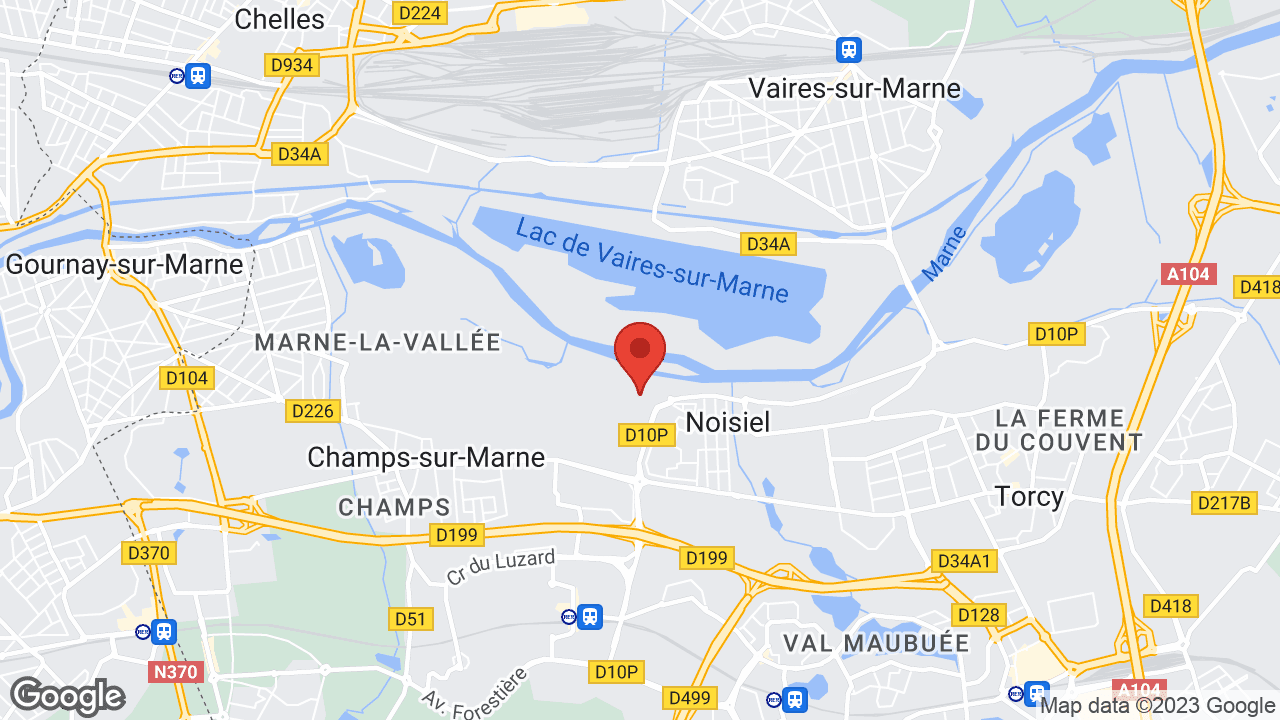 Google map