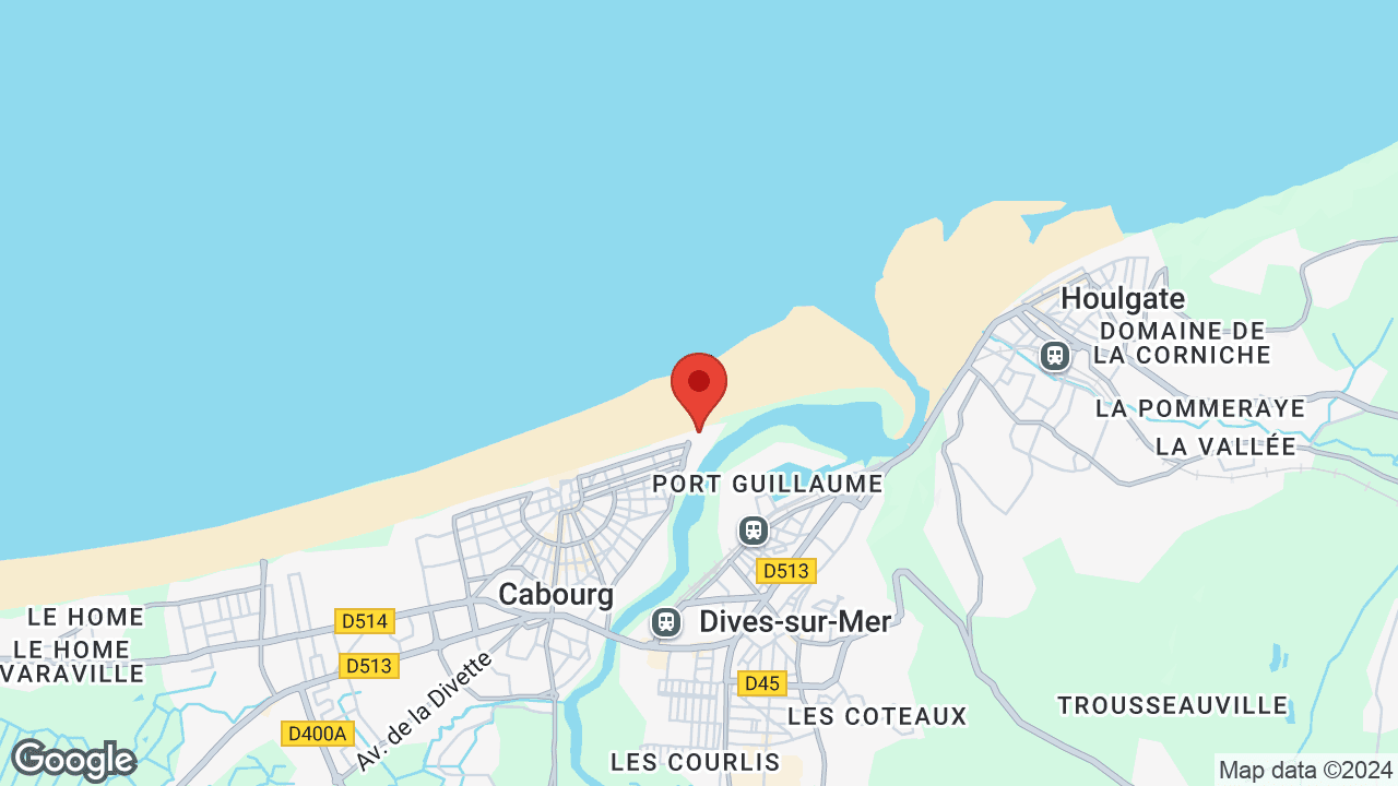 Google map