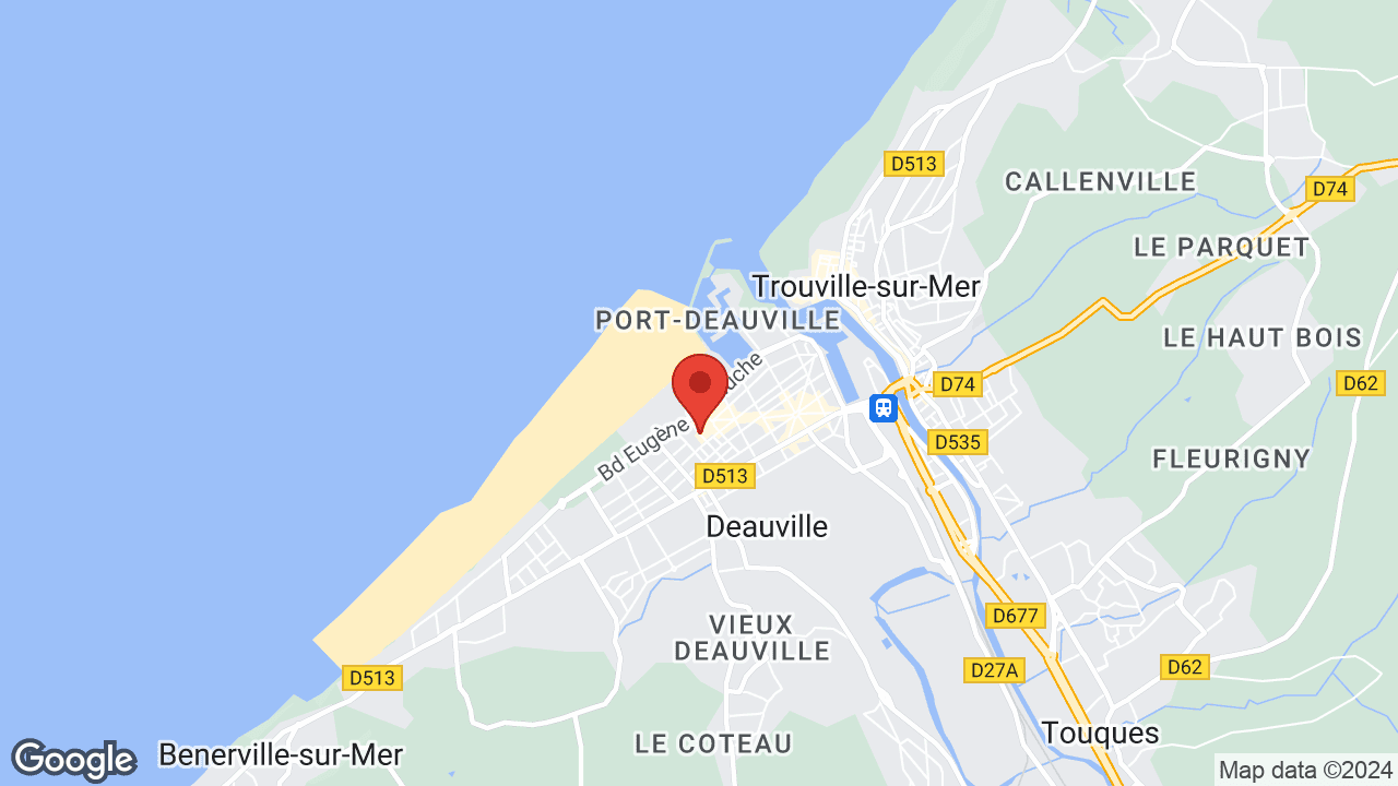Google map