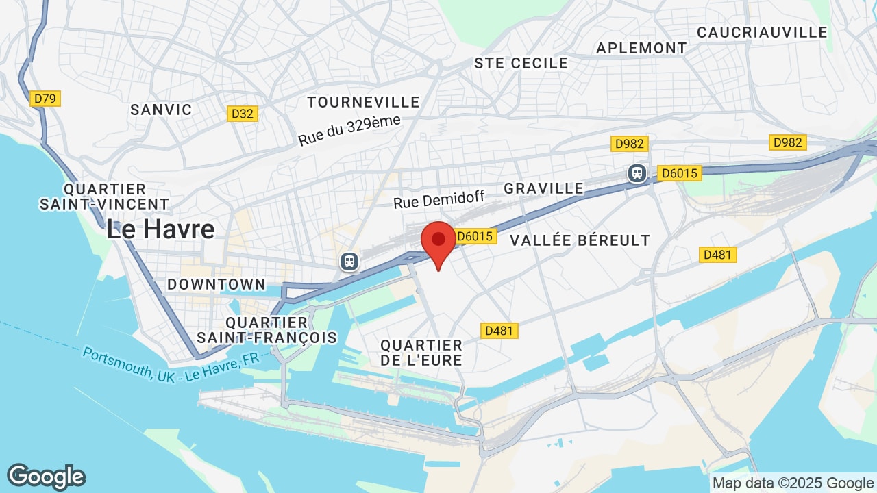 Google map