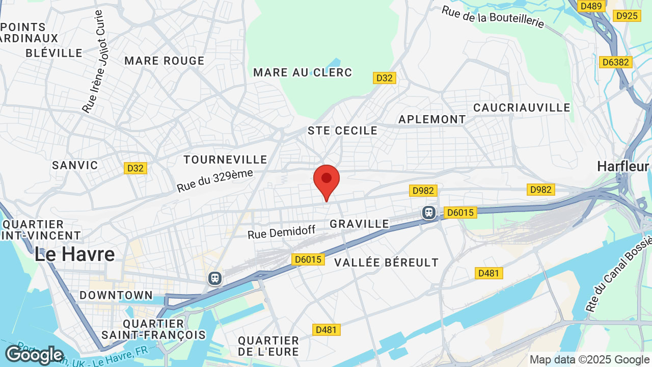 Google map