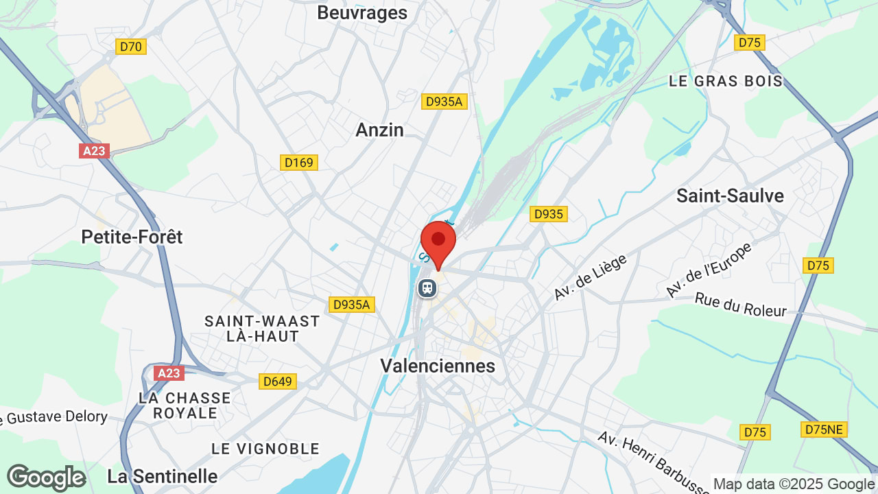 Google map