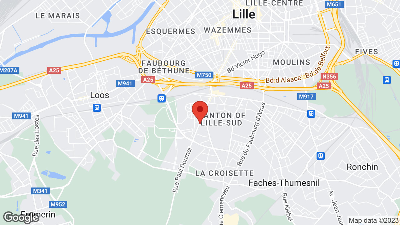 Google map