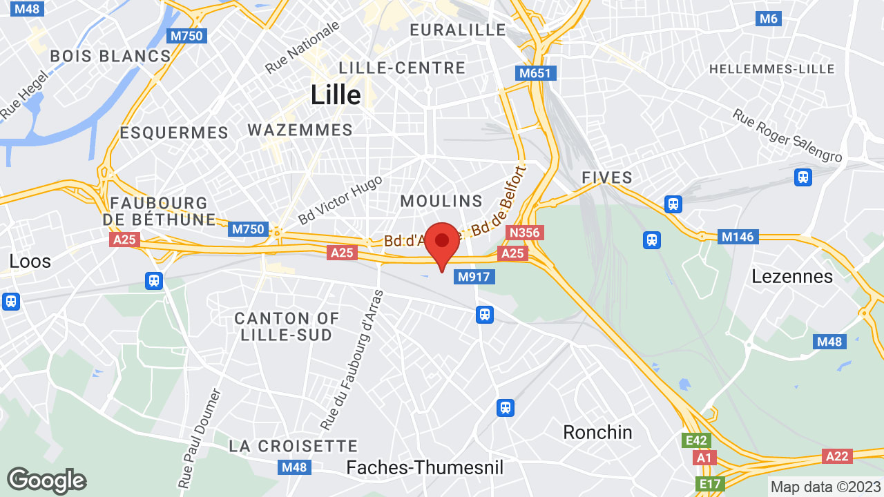 Google map