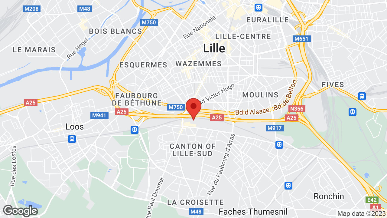Google map