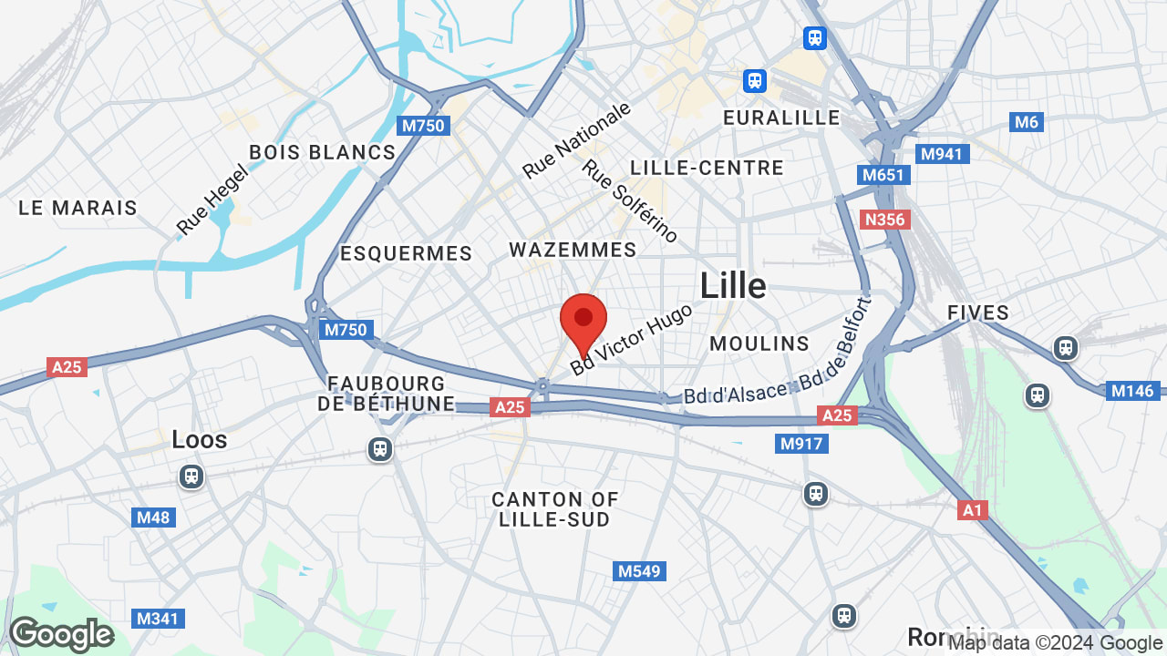 Google map