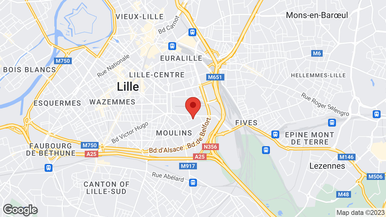 Google map