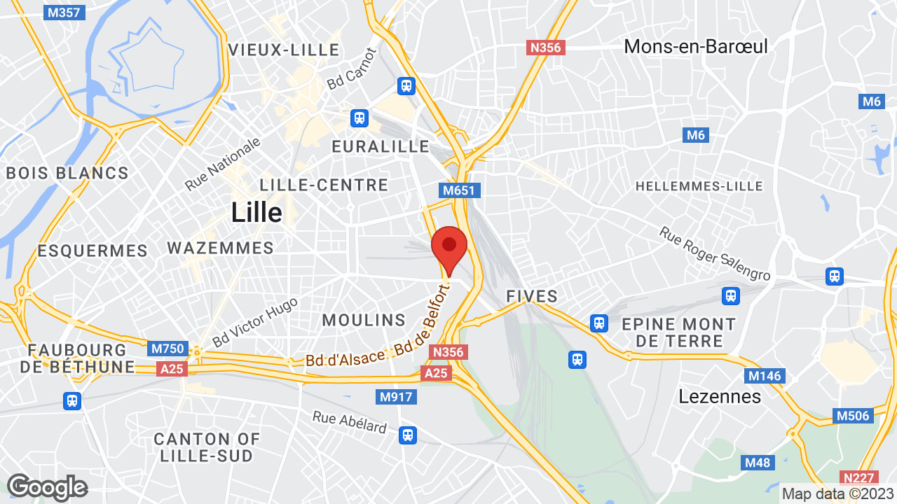Google map