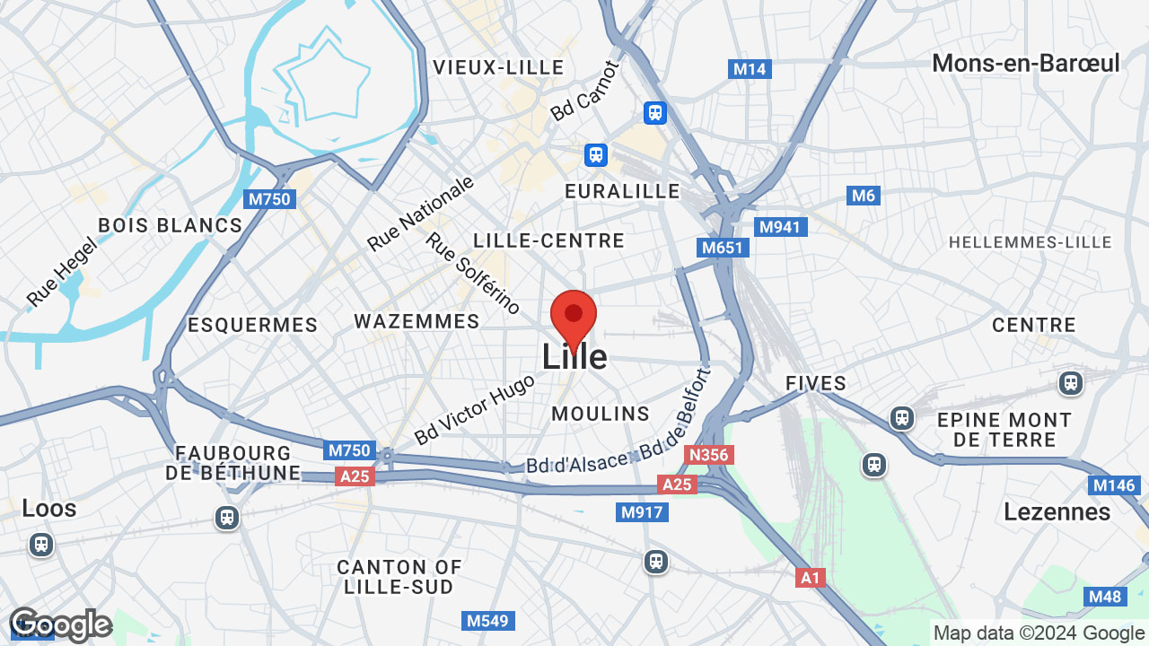 Google map