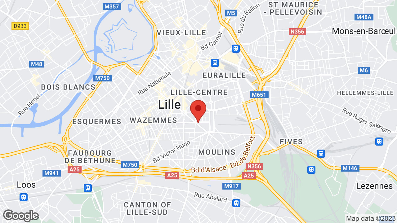 Google map