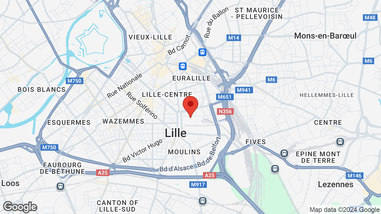 Google map