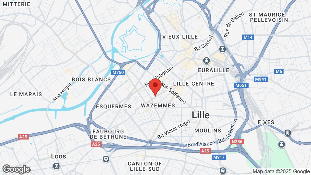 Google map