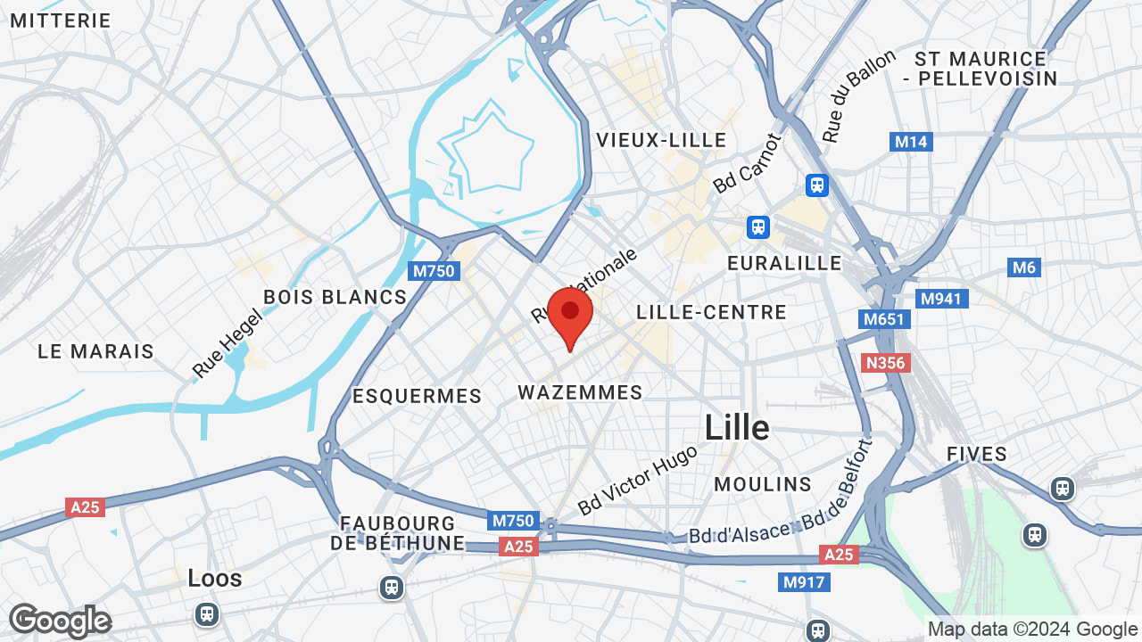 Google map