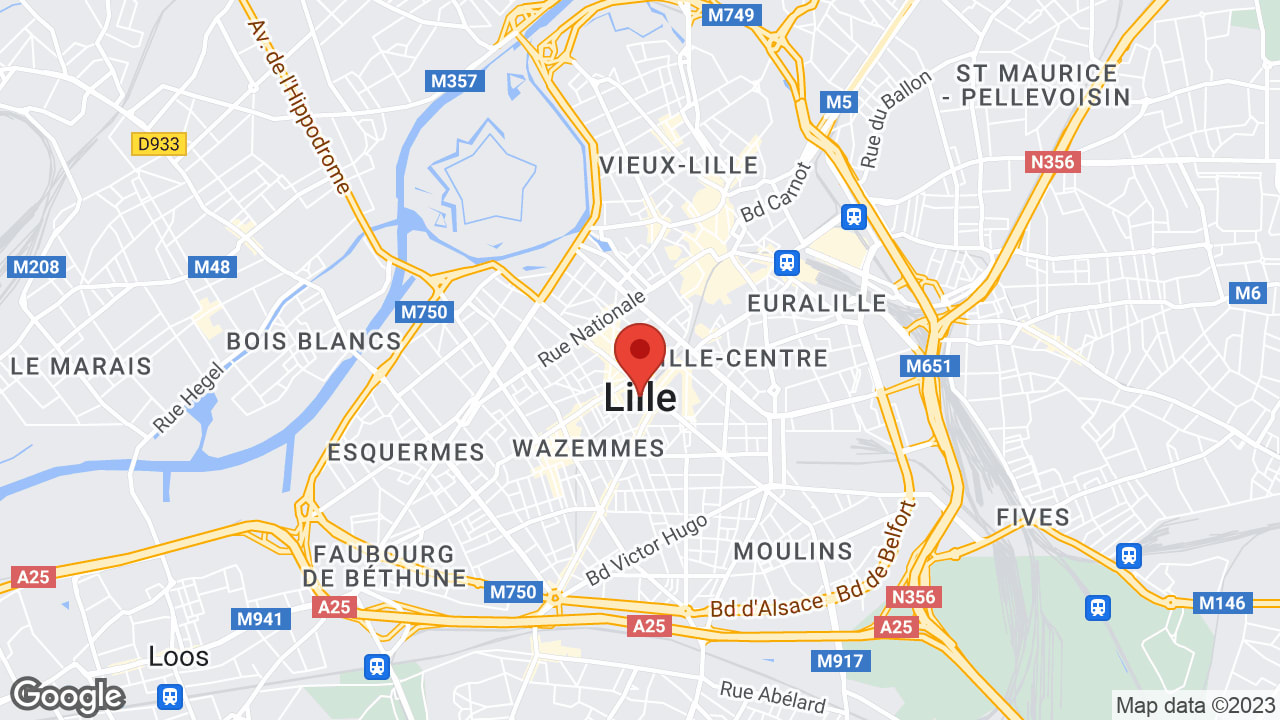 Google map