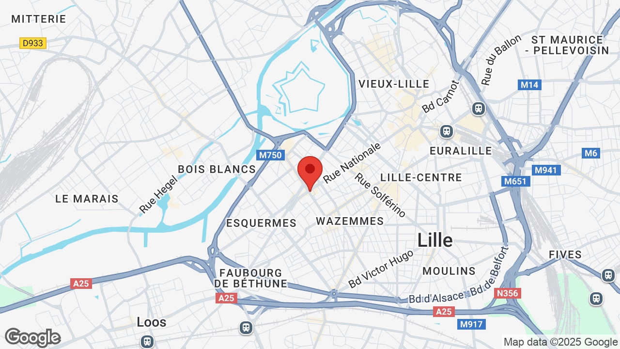 Google map