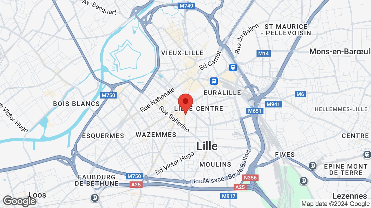 Google map