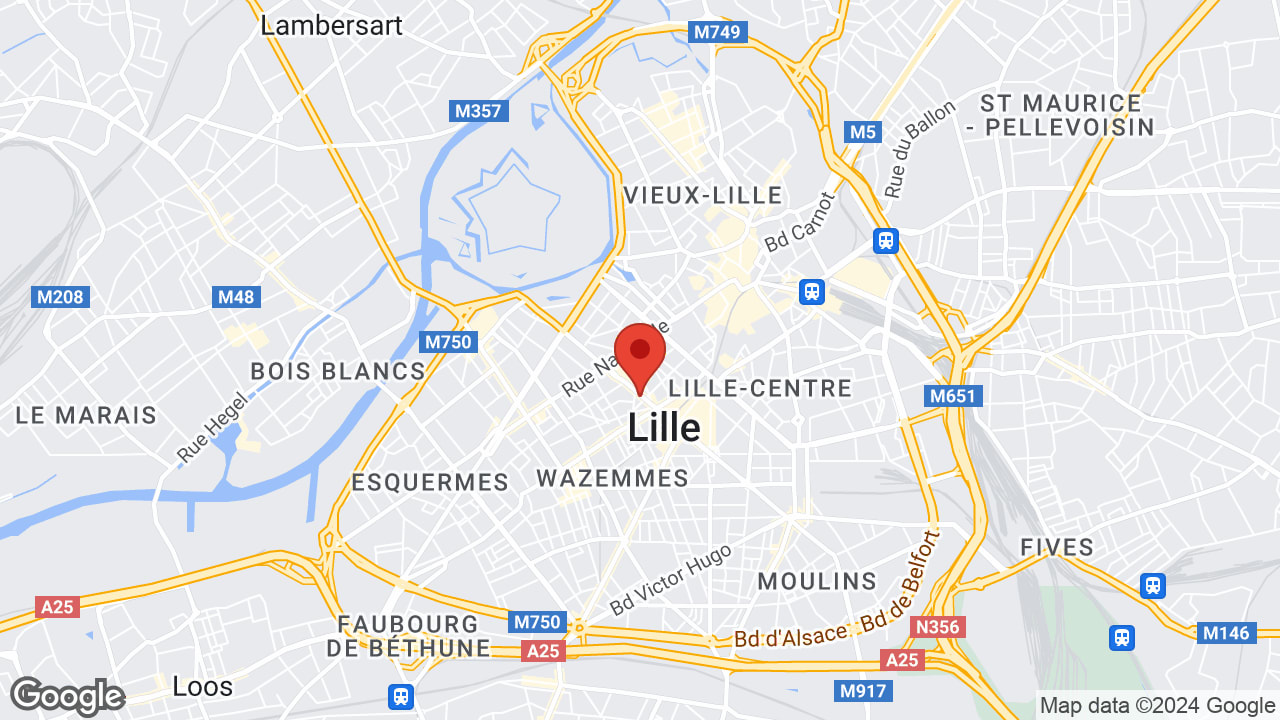 Google map