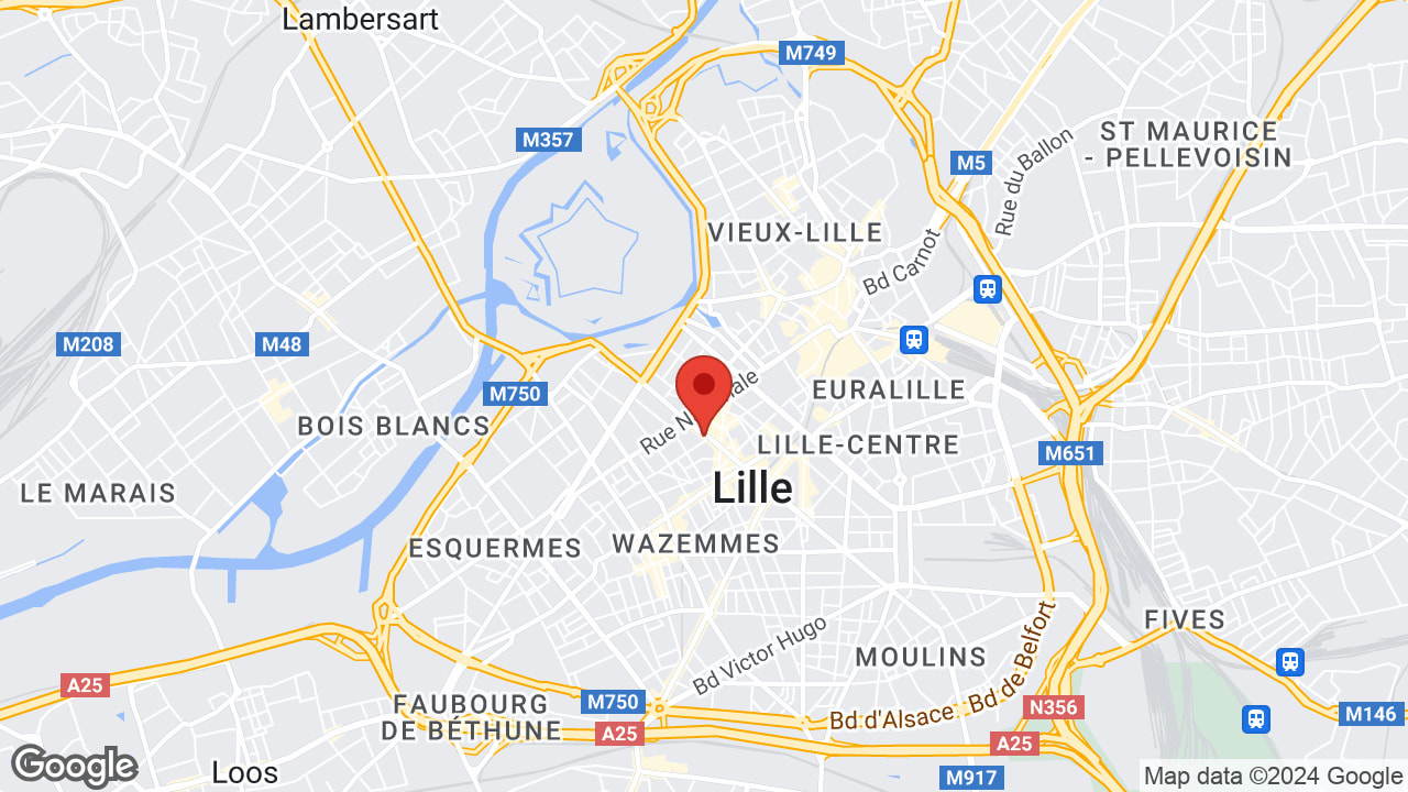 Google map