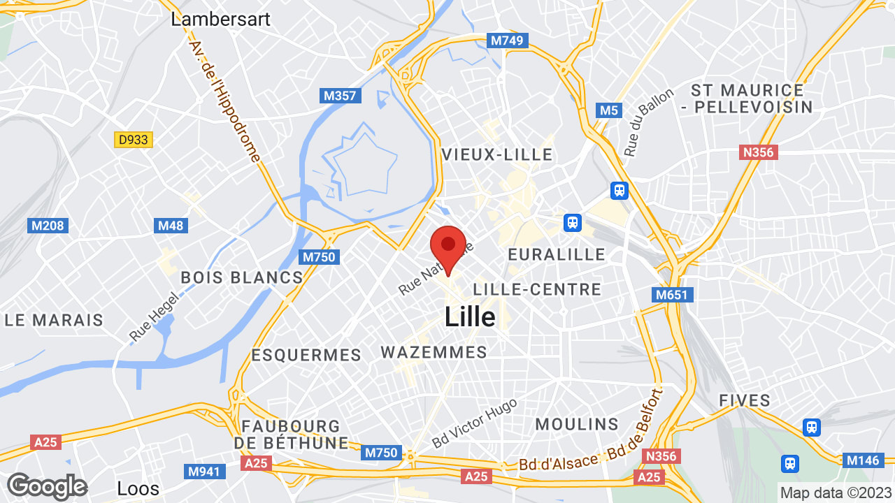 Google map