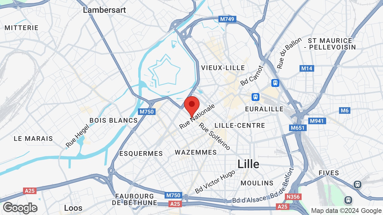 Google map
