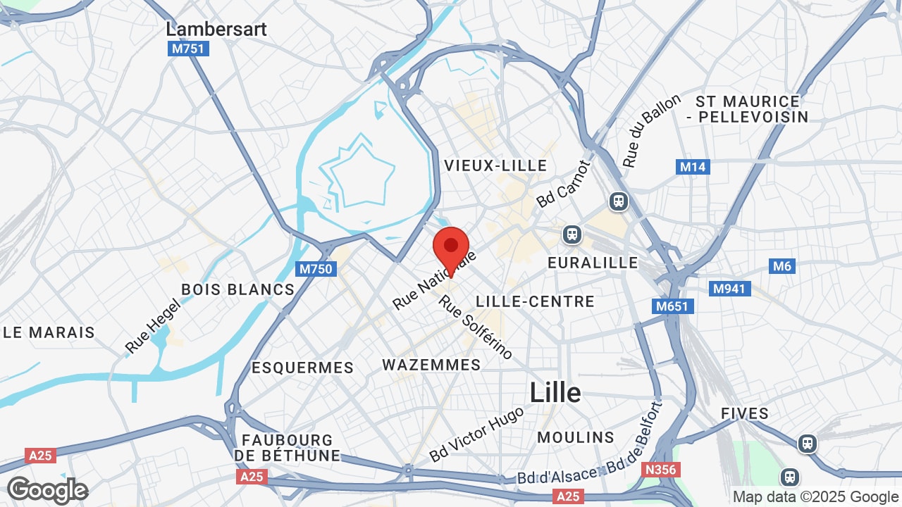 Google map