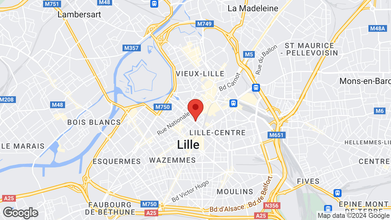 Google map