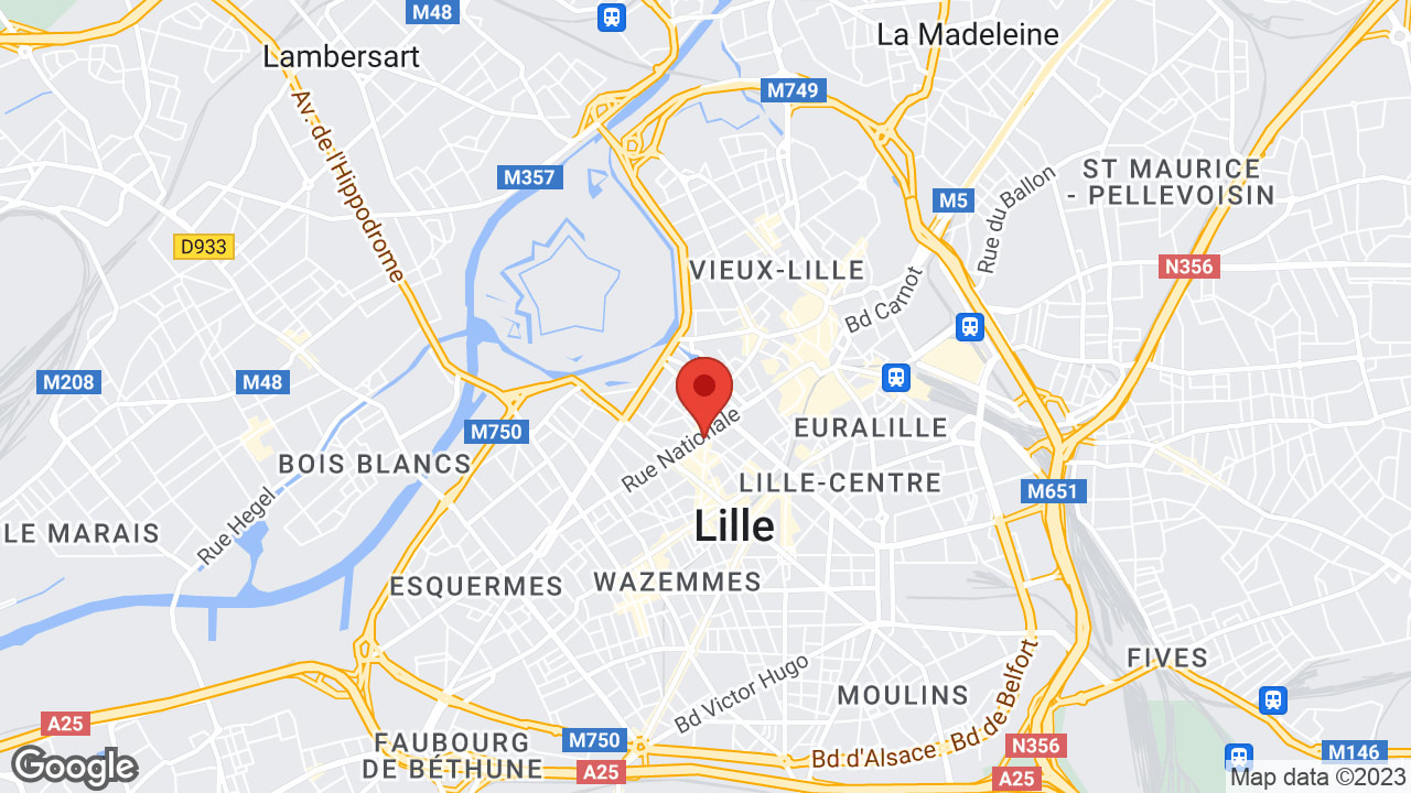 Google map
