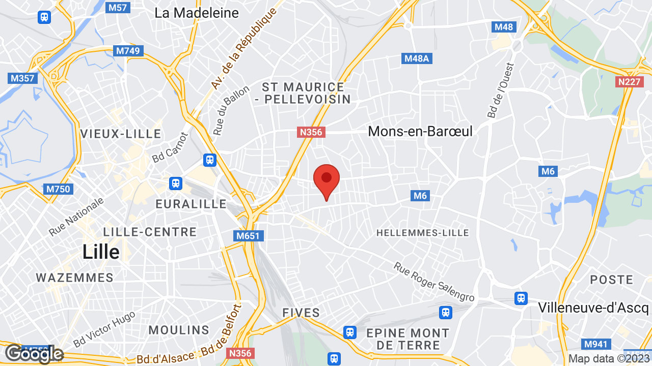 Google map