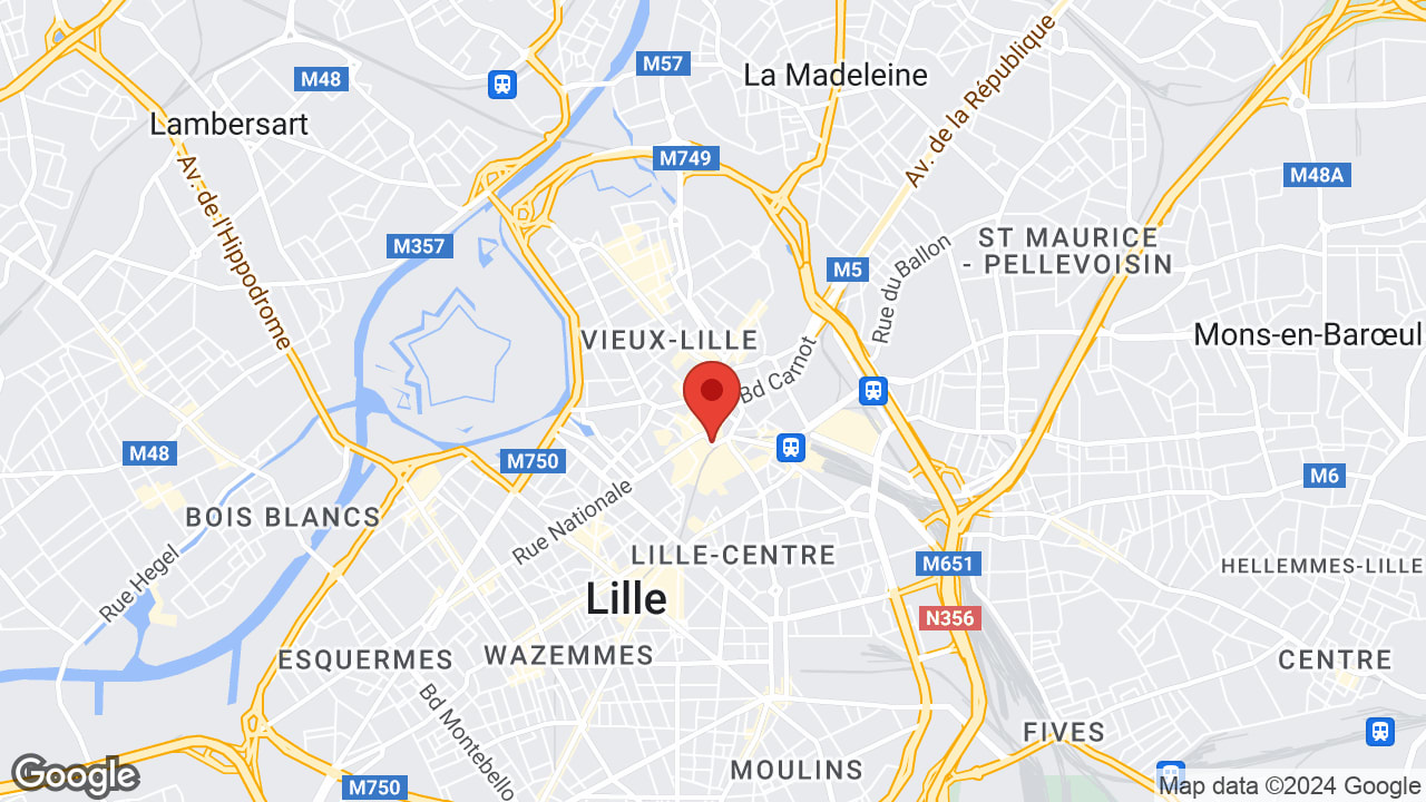 Google map