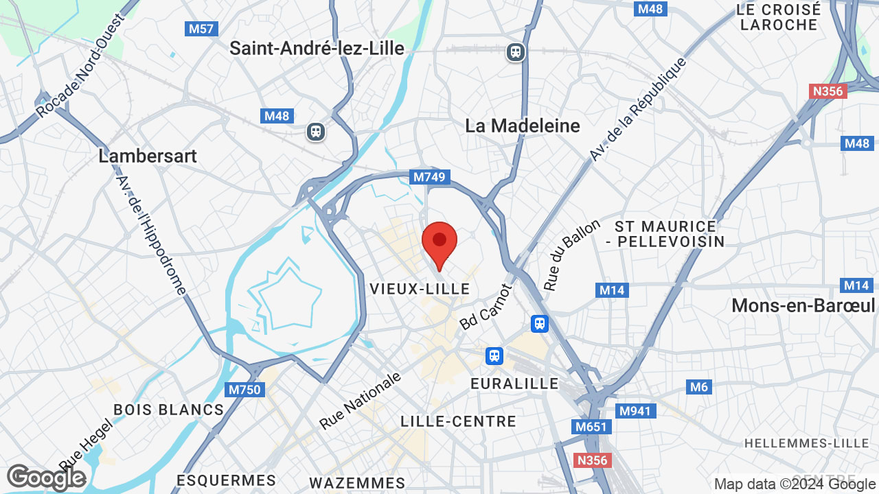 Google map