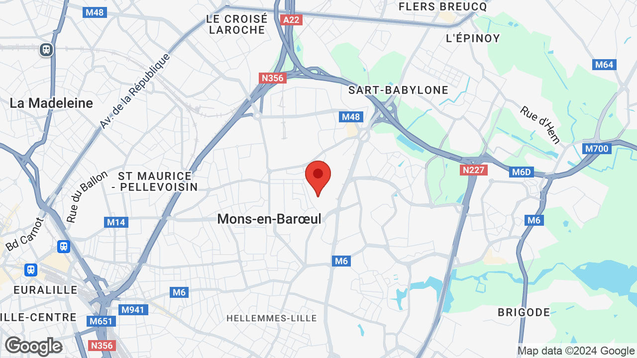 Google map