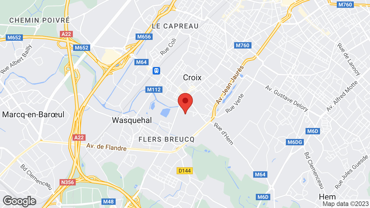Google map