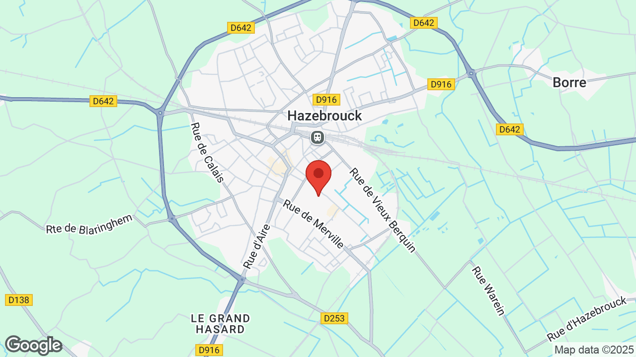 Google map