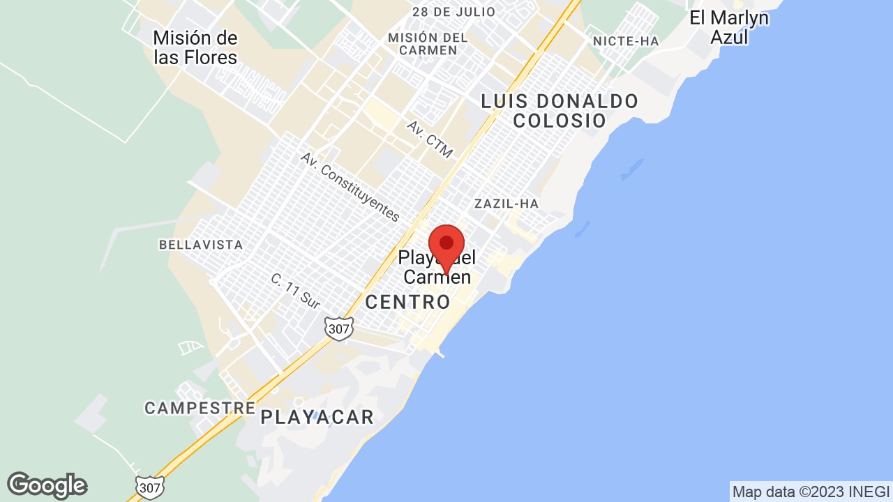 Google map