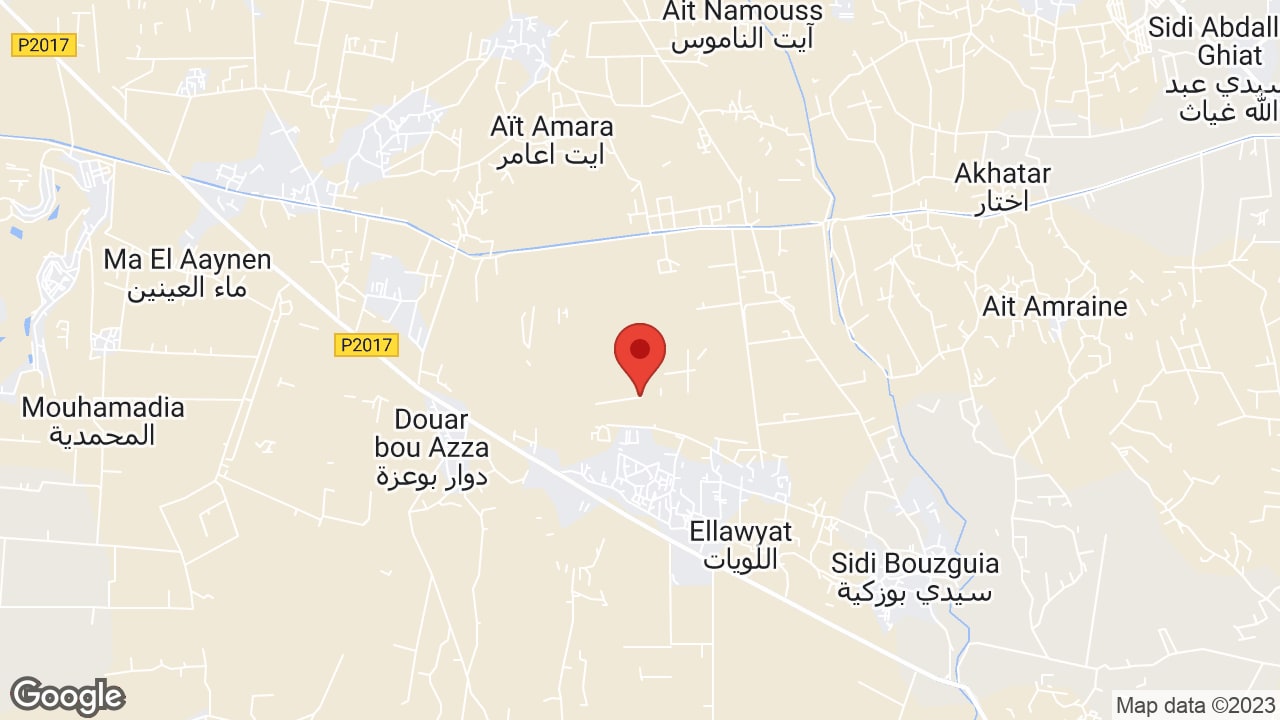 Google map