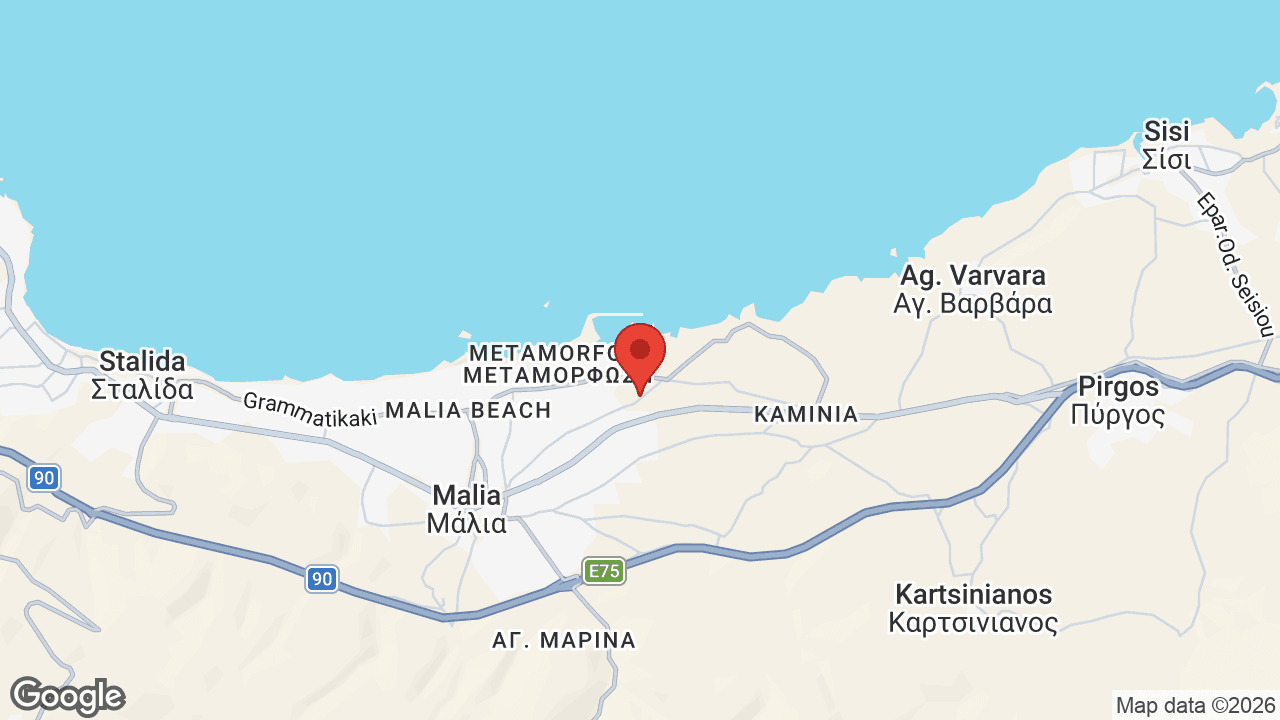 Google map