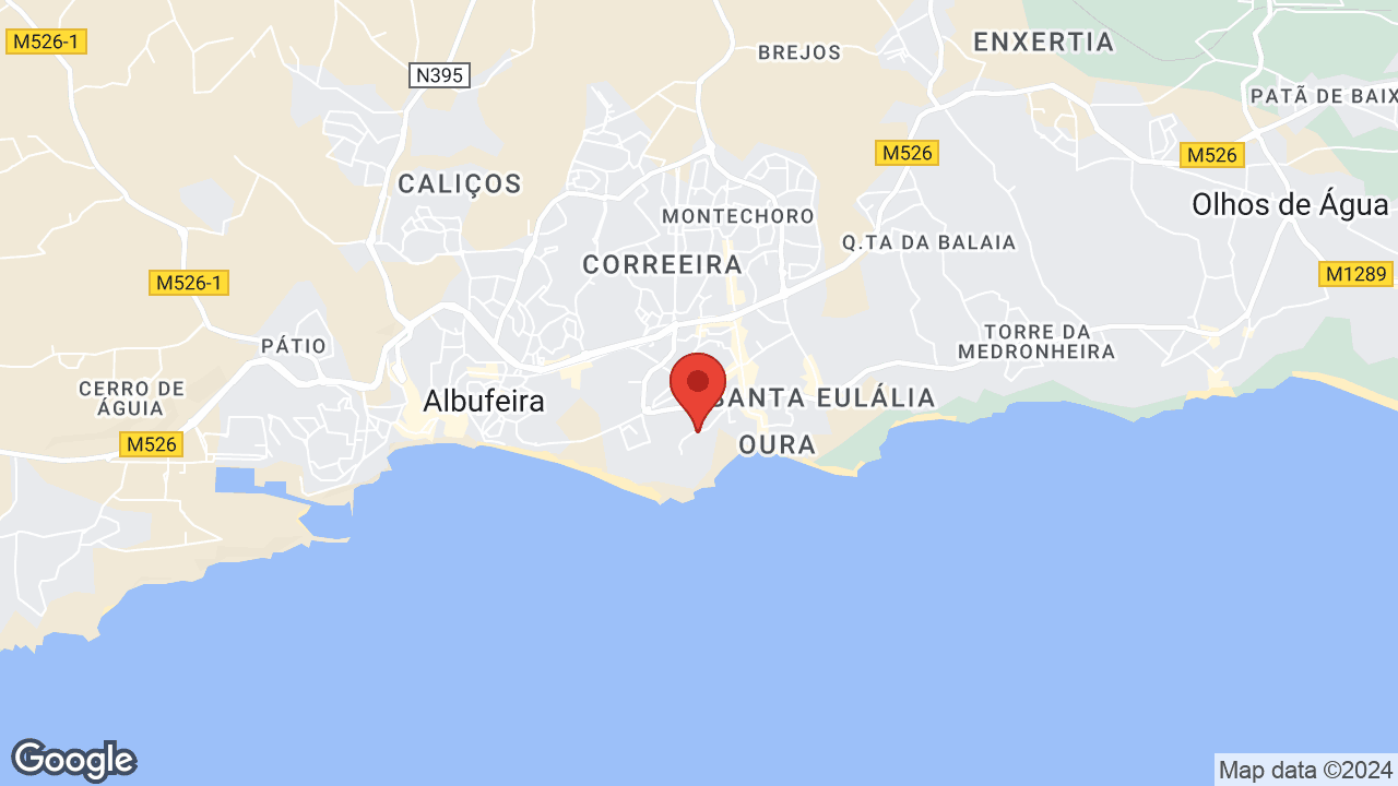 Google map