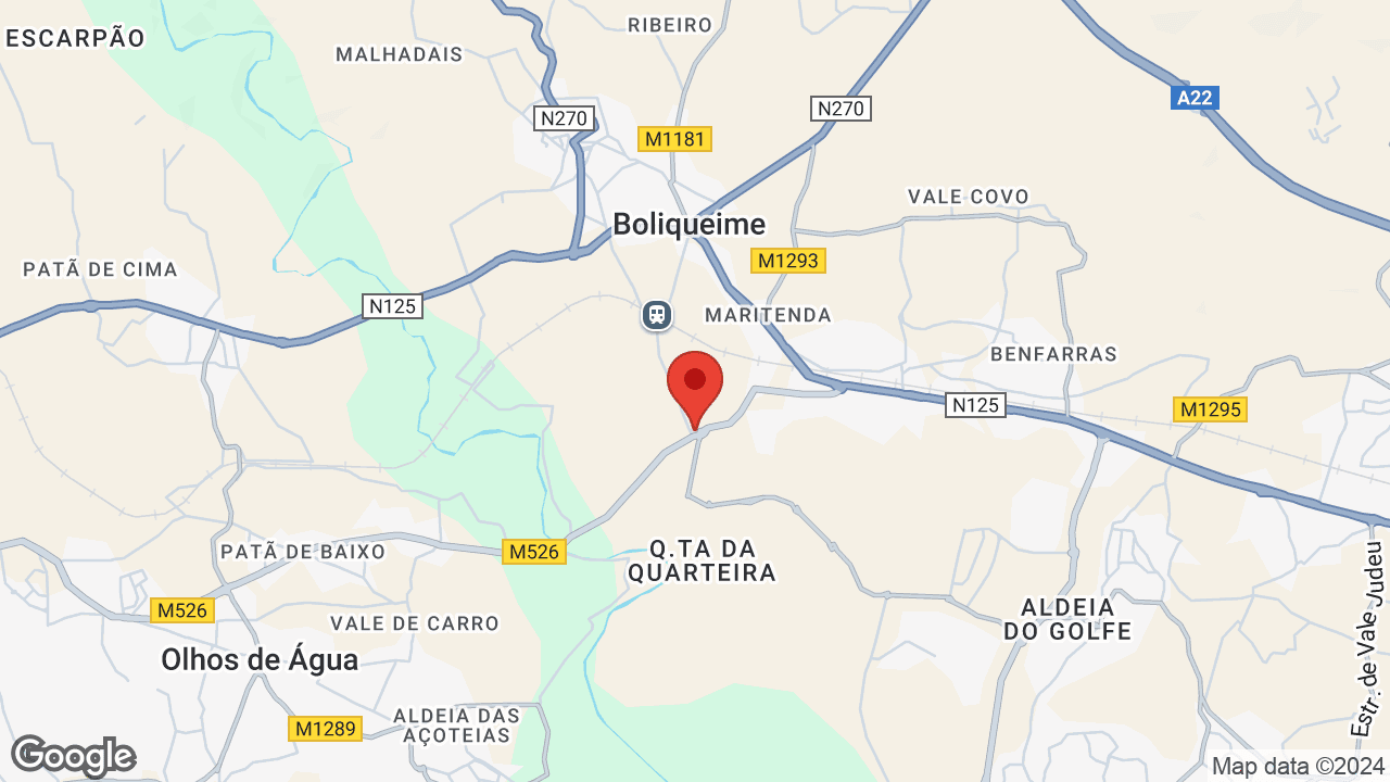 Google map