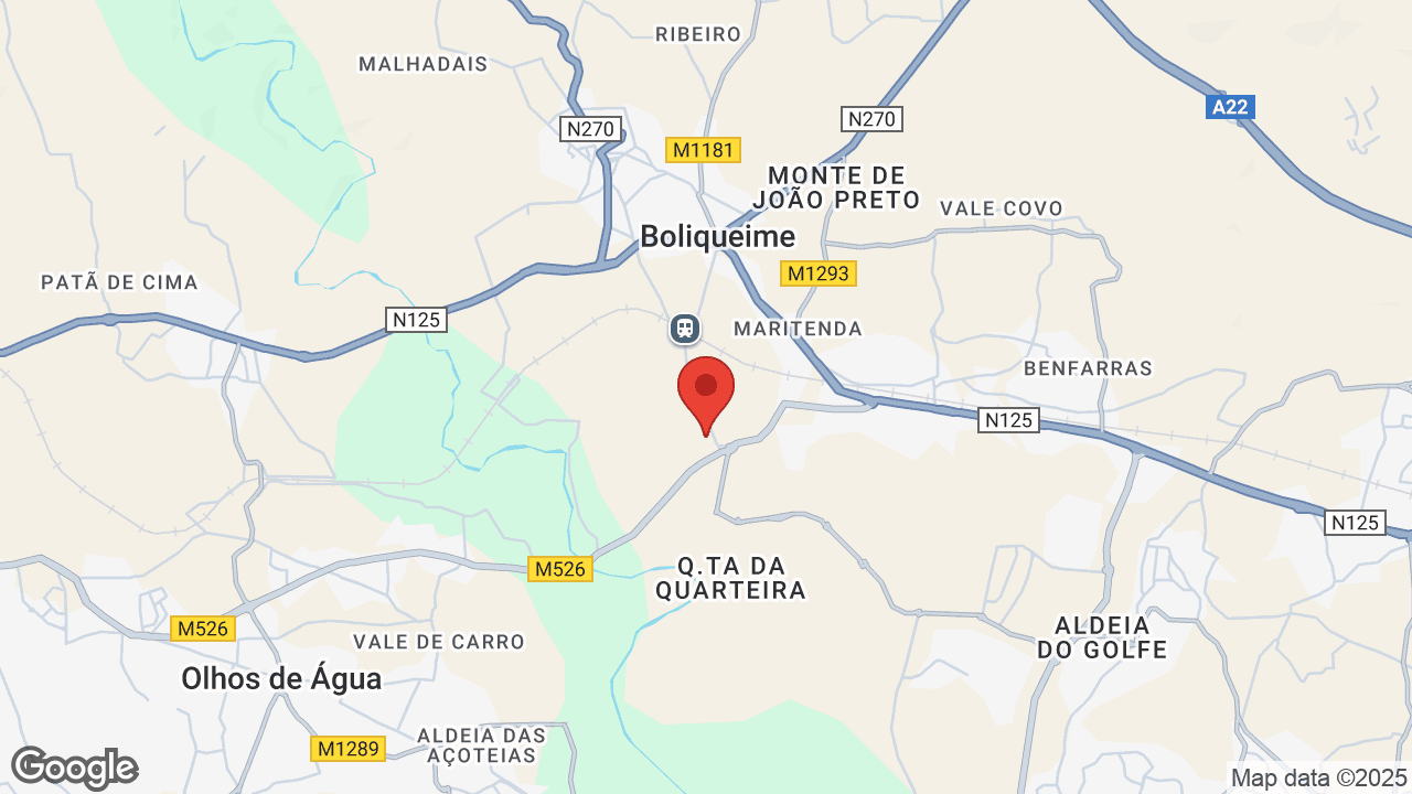Google map