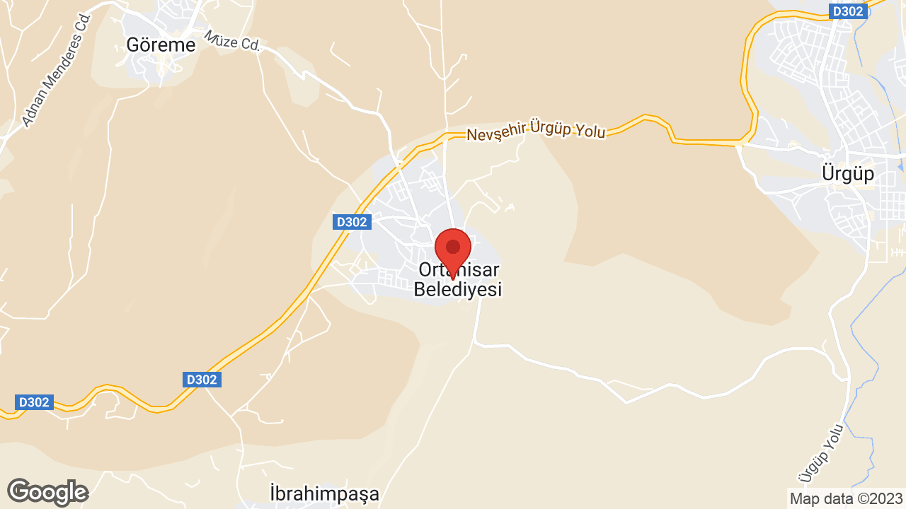 Google map