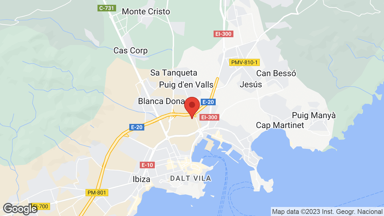 Google map