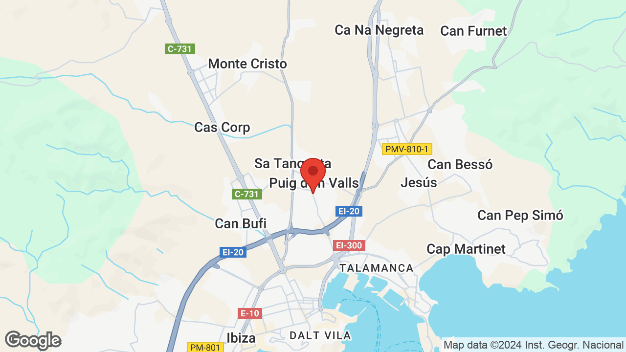 Google map