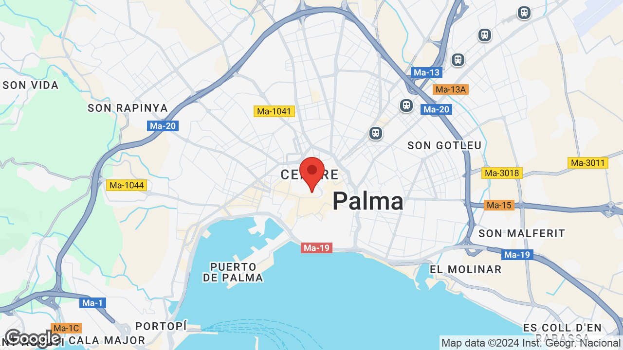 Google map
