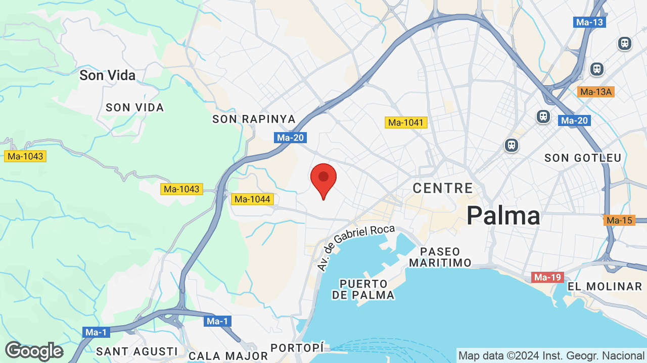 Google map