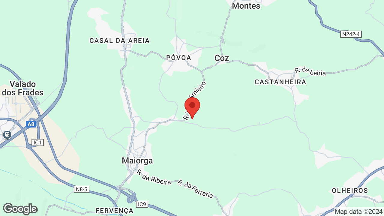 Google map