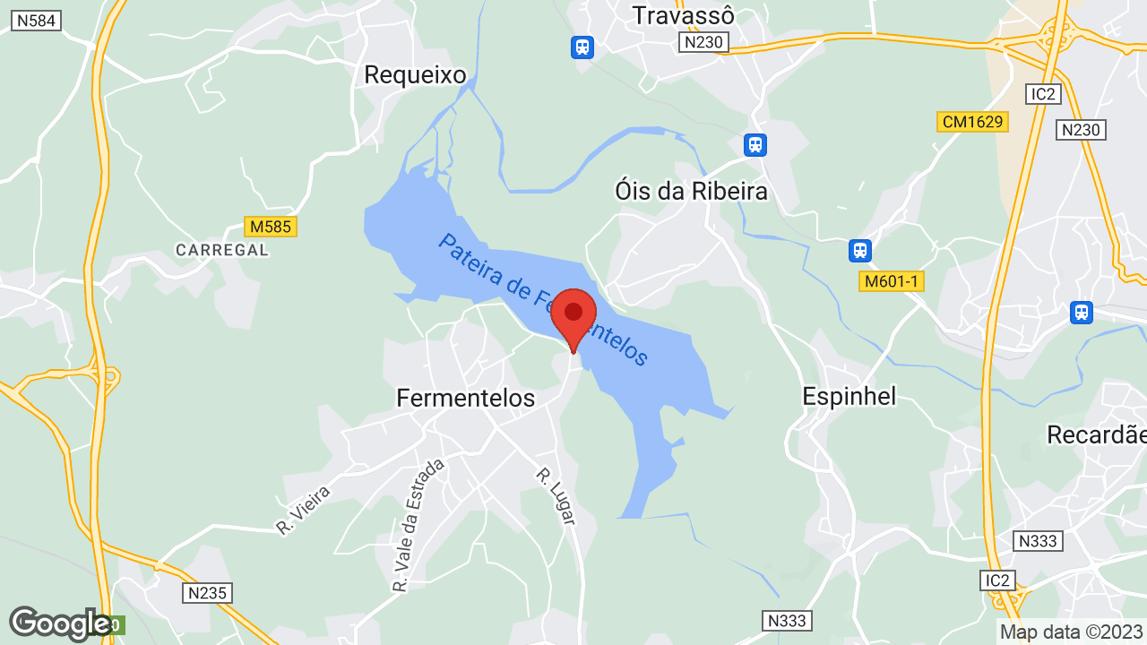 Google map