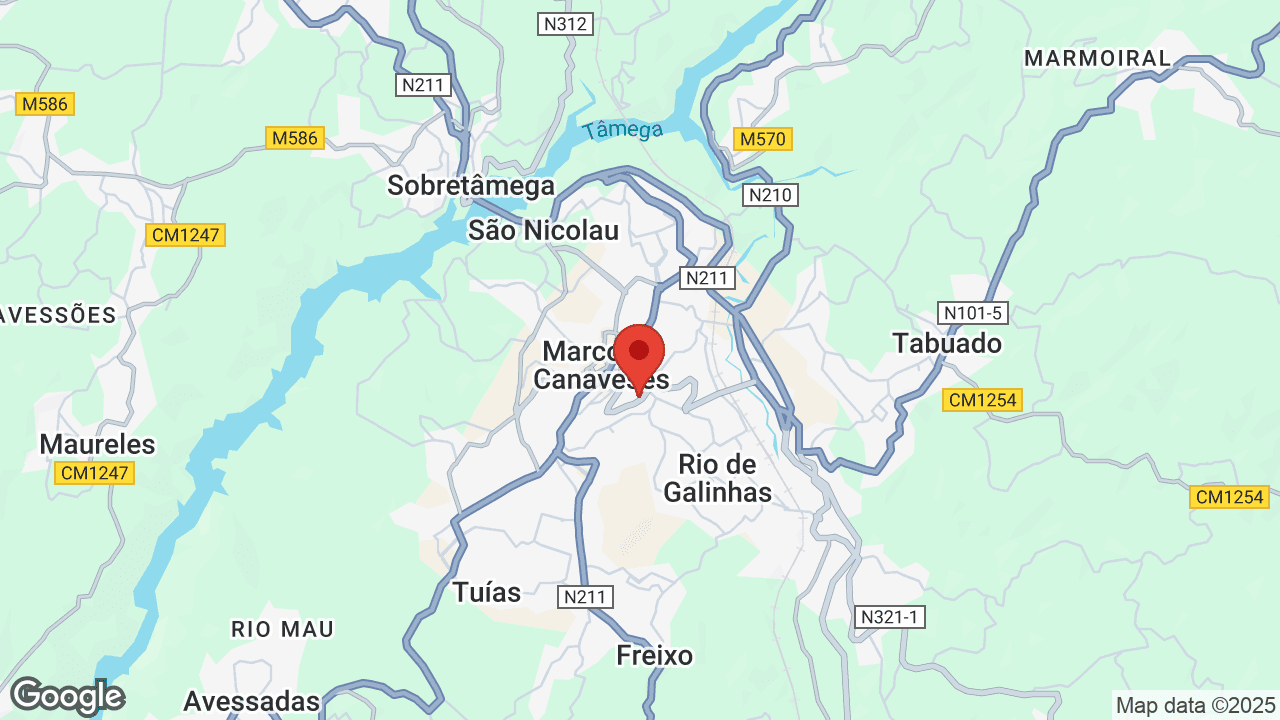 Google map