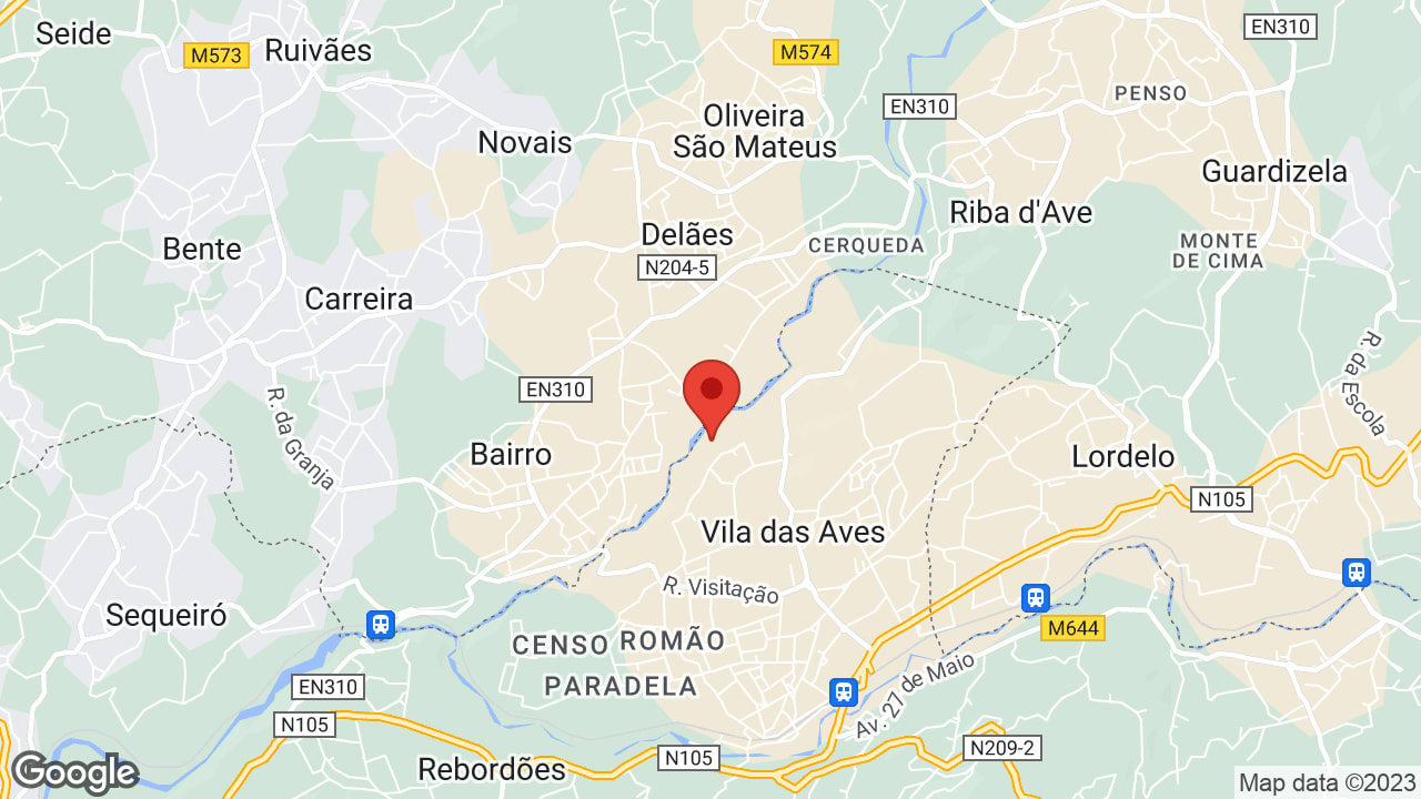 Google map