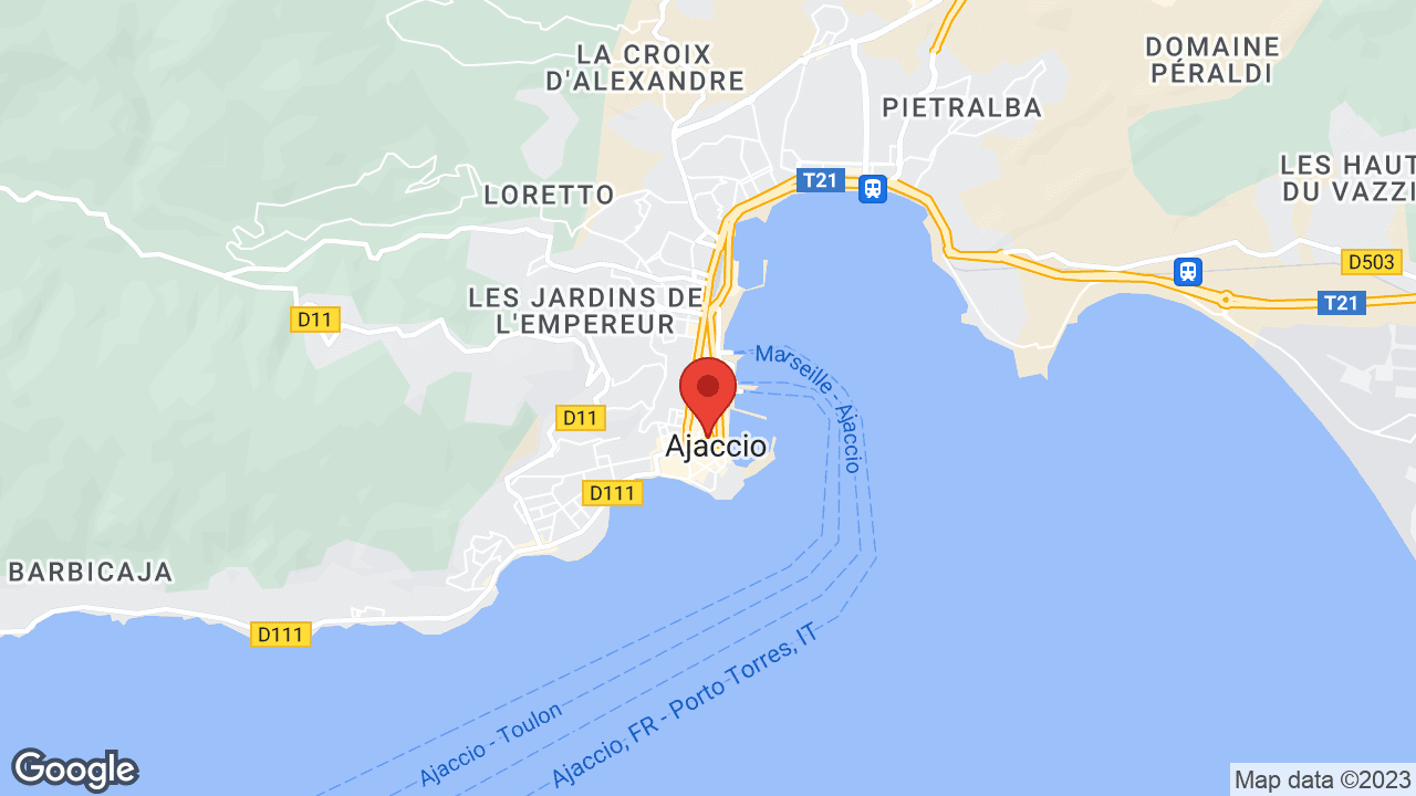Google map
