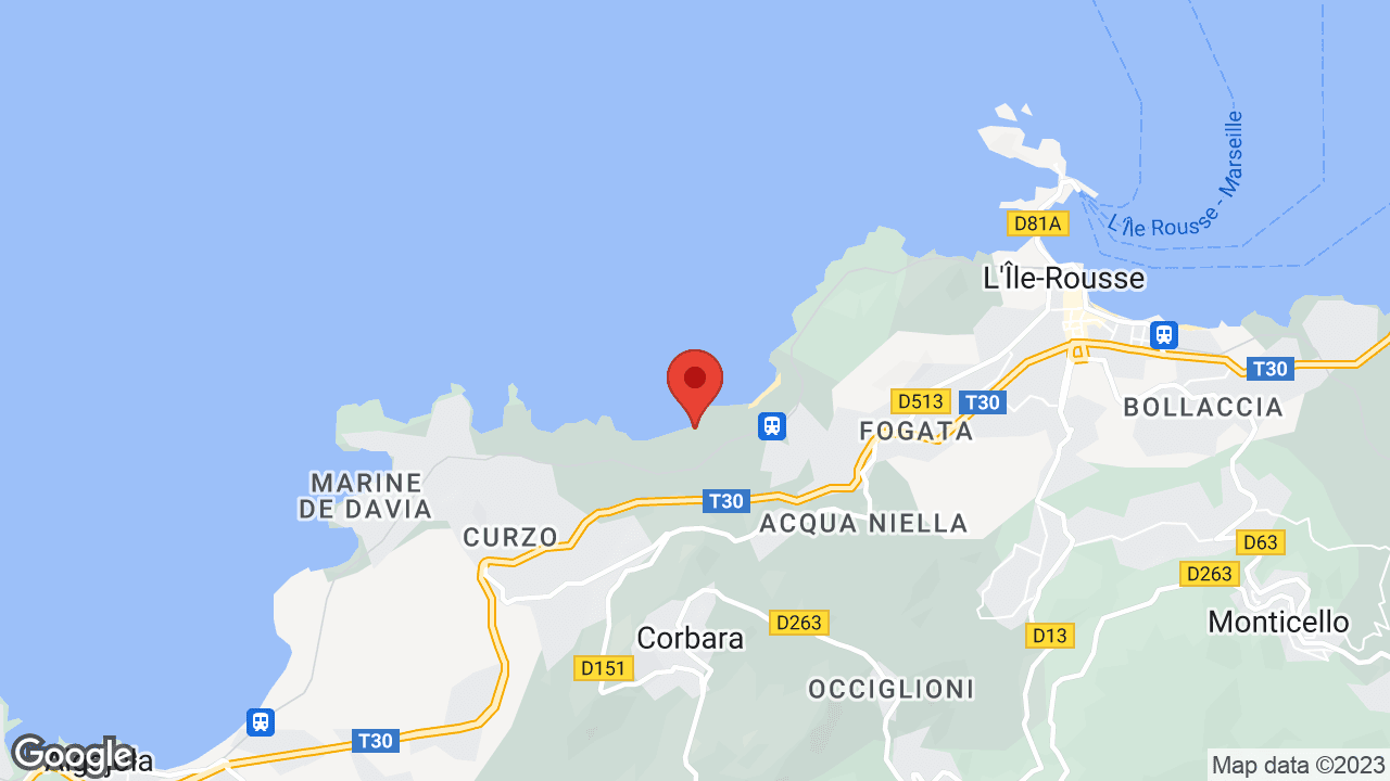 Google map